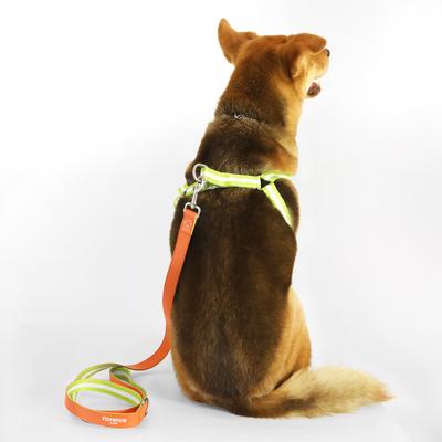 Show full view: florence by mills Appleskin Dog Harness, Orange, X-Small/Small slide 9 of 9