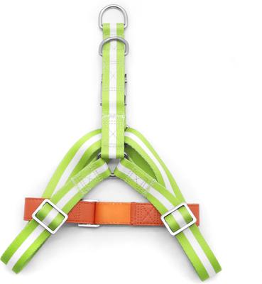 Show full view: florence by mills Appleskin Dog Harness, Orange, X-Small/Small slide 3 of 9