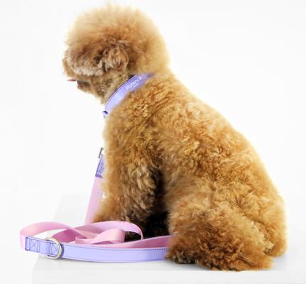 Show full view: florence by mills Appleskin Dog Collar, Purple, XX-Large/XXX-Large slide 3 of 6