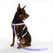 Show in main carousel: florence by mills Appleskin Dog Leash, Purple, Large slide 1 of 1