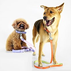 florence by mills Appleskin Dog Leash, Purple, Small