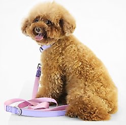 florence by mills Dog Leash, Pink, Small
