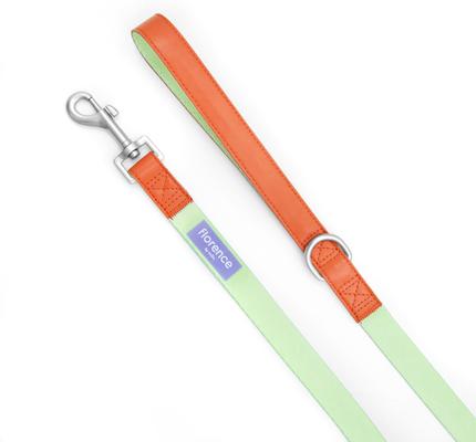 Show full view: florence by mills Dog Leash, Green, Small slide 5 of 6