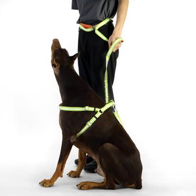 Show full view: florence by mills Crossbody Dog Leash, Orange slide 3 of 6