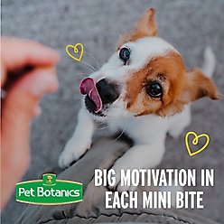 Pet Botanics Training Rewards Soft & Chewy Puppy Peanut Butter Dog Treats, Mini, 4-oz bag slide 2 of 8