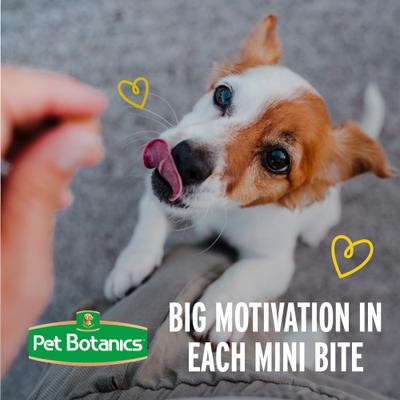 Show full view: Pet Botanics Training Rewards Soft & Chewy Puppy Peanut Butter Dog Treats, Mini, 4-oz bag slide 7 of 12