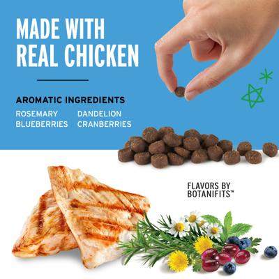 Show full view: Pet Botanics Mini Training Reward Chicken Flavor Dog Treats, 4-oz bag slide 4 of 13