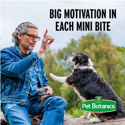 Show full view: Pet Botanics Training Reward Chicken Flavor Dog Treats, 20-oz bag slide 7 of 13