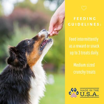 Show full view: Dog Mamma's Organic Peanut Butter Banana Dog Treats, 6-oz bag slide 9 of 9