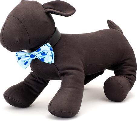 Show full view: The Worthy Dog Squirt Dog Bow Tie, Blue, Small slide 2 of 4