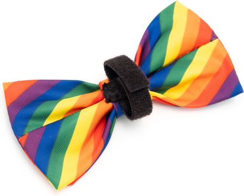 Show full view: The Worthy Dog Rainbow Dog Bow Tie, Multicolored, Small slide 3 of 4