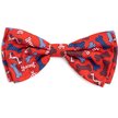 The Worthy Dog Preppy Bones Dog Leash