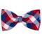 Show in main carousel: The Worthy Dog Check Dog Bow Tie, Red/White/Blue, Small slide 1 of 2