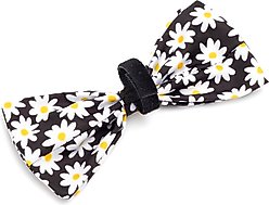 The Worthy Dog Lazy Daisy Dog Bow Tie, Black, Small slide 2 of 4