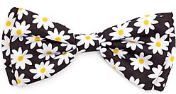 The Worthy Dog Lazy Daisy Dog Bow Tie, Black, Small
