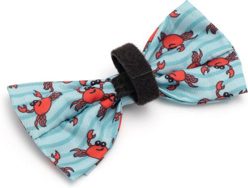Show full view: The Worthy Dog Crabs Dog Bow Tie, Teal, Small slide 4 of 4