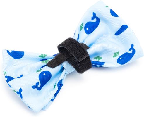 Show full view: The Worthy Dog Squirt Dog Bow Tie, Blue, Small slide 3 of 4