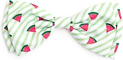 The Worthy Dog Stripe Watermelon Dog Bow Tie, Green, Small