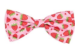 The Worthy Dog Strawberries Dog Bow Tie, Pink, Small