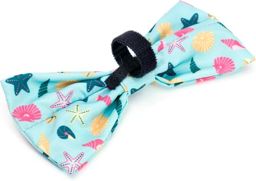 Show full view: The Worthy Dog Seashells Dog Bow Tie, Teal, Small slide 2 of 2