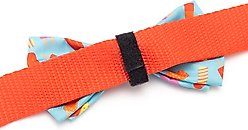 The Worthy Dog Popsicles Dog Bow Tie, Teal, Large slide 2 of 3