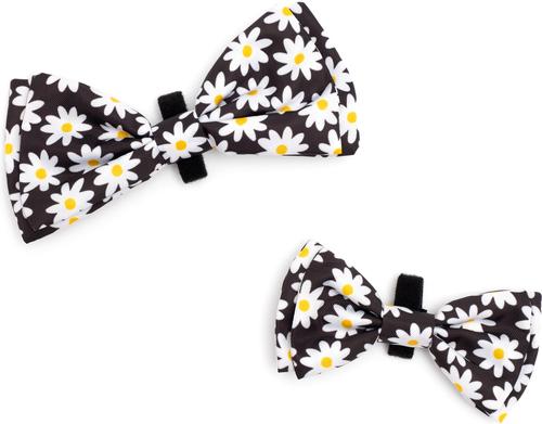 Show full view: The Worthy Dog Lazy Daisy Dog Bow Tie, Black, Small slide 3 of 5