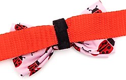 The Worthy Dog Ladybugs Dog Bow Tie, Pink, Small slide 2 of 3