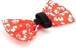 The Worthy Dog Aloha Dog Bow Tie, Coral, Small slide 2 of 3