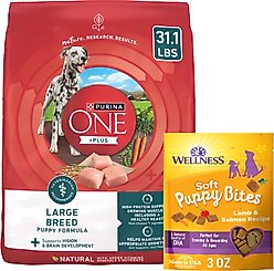 Purina ONE SmartBlend Large Breed Puppy Formula Dry Food + Wellness Soft Puppy Bites Lamb & Salmon Recipe Grain-Free Dog Treats