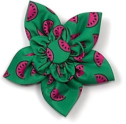 The Worthy Dog Watermelon Flower Dog & Cat Collar Accessory, Green, Small