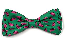 The Worthy Dog Watermelon Dog Bow Tie, Green, Small