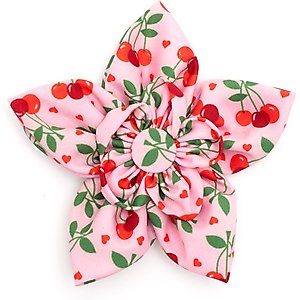 The Worthy Dog Cherries Jubilee Flower Dog & Cat Collar Accessory, Pink, Large