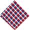Show in main carousel: The Worthy Dog Check Dog Bandana, Red/White/Blue, Large slide 3 of 3