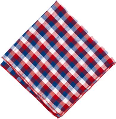Show full view: The Worthy Dog Check Dog Bandana, Red/White/Blue, Large slide 3 of 3