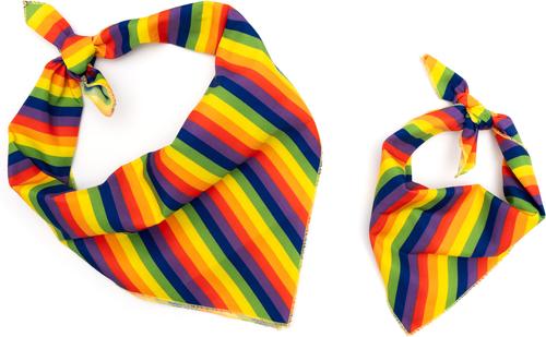 Show full view: The Worthy Dog Rainbow Dog Bandana, Multicolored, Small slide 3 of 3