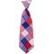 Show in main carousel: The Worthy Dog Americana Dog & Cat Neck Tie, Red/White/Blue, Small slide 1 of 1