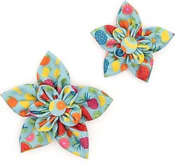 The Worthy Dog Tutti Frutti Flower Dog & Cat Collar Accessory, Blue, Small slide 2 of 4