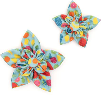 Show full view: The Worthy Dog Tutti Frutti Flower Dog & Cat Collar Accessory, Blue, Large slide 4 of 6