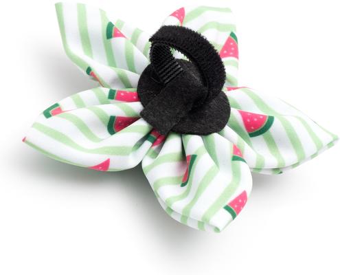 Show full view: The Worthy Dog Stripe Watermelon Flower Dog & Cat Collar Accessory, Green, Small slide 3 of 3
