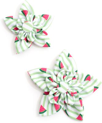 Show full view: The Worthy Dog Stripe Watermelon Flower Dog & Cat Collar Accessory, Green, Small slide 2 of 3