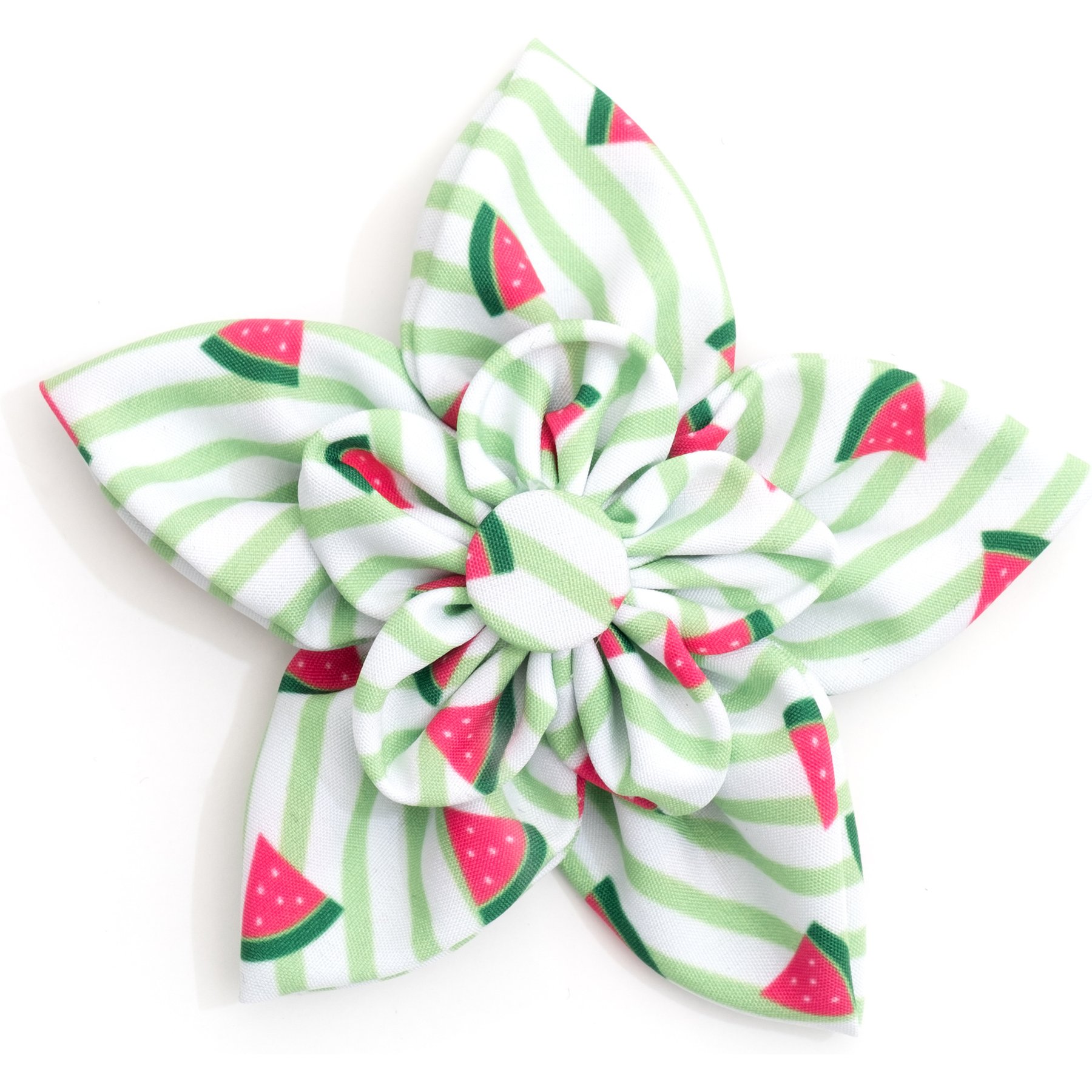 The Worthy Dog Stripe Watermelon Flower Dog & Cat Collar Accessory, Green, Small