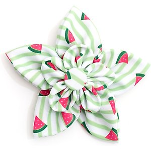 The Worthy Dog Stripe Watermelon Flower Dog & Cat Collar Accessory, Green, Large