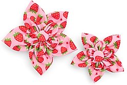 The Worthy Dog Strawberries Flower Dog & Cat Collar Accessory, Pink, Small slide 2 of 3
