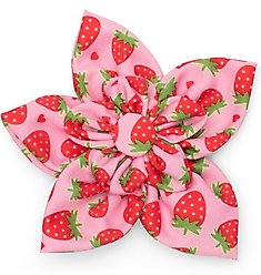 The Worthy Dog Strawberries Flower Dog & Cat Collar Accessory, Pink, Small