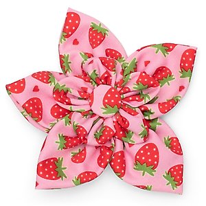The Worthy Dog Strawberries Flower Dog & Cat Collar Accessory, Pink, Large