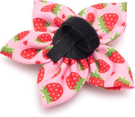 Show full view: The Worthy Dog Strawberries Flower Dog & Cat Collar Accessory, Pink, Small slide 3 of 4