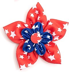 The Worthy Dog Stars Flower Dog & Cat Collar Accessory, Red/Navy, Small