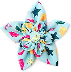The Worthy Dog Seashells Flower Dog & Cat Collar Accessory, Teal, Small