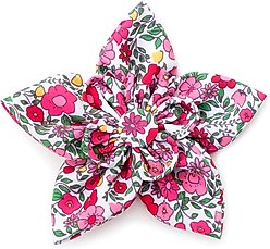 The Worthy Dog Spring Garden Flower Dog & Cat Collar Accessory, Coral, Small