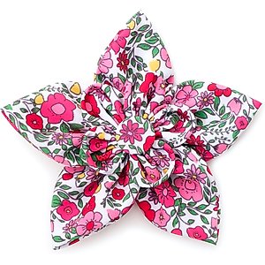 The Worthy Dog Spring Garden Flower Dog & Cat Collar Accessory, Coral, Small